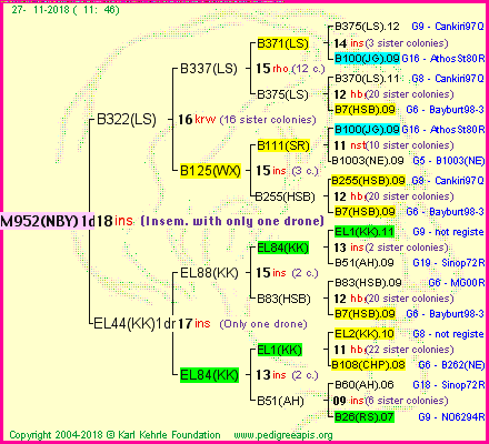 Pedigree of M952(NBY)1dr :
four generations presented<br />it's temporarily unavailable, sorry!