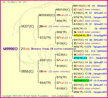 Pedigree of M999(IC) :
four generations presented
it's temporarily unavailable, sorry!