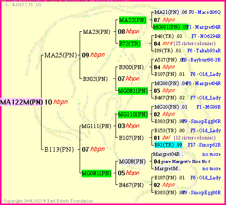 Pedigree of MA122M(PN) :
four generations presented