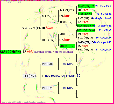 Pedigree of MA122N(PN) :
four generations presented