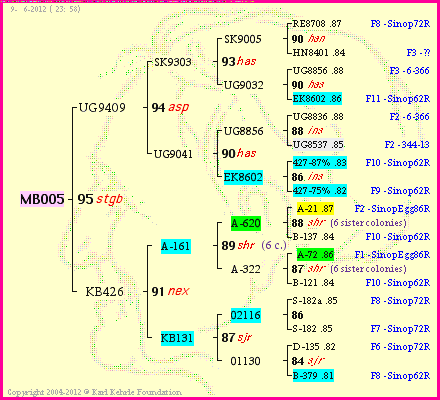 Pedigree of MB005 :
four generations presented