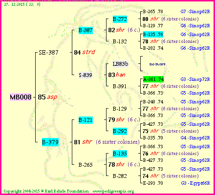 Pedigree of MB008 :
four generations presented