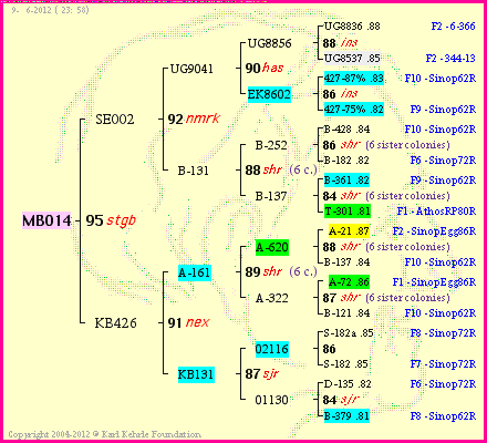 Pedigree of MB014 :
four generations presented