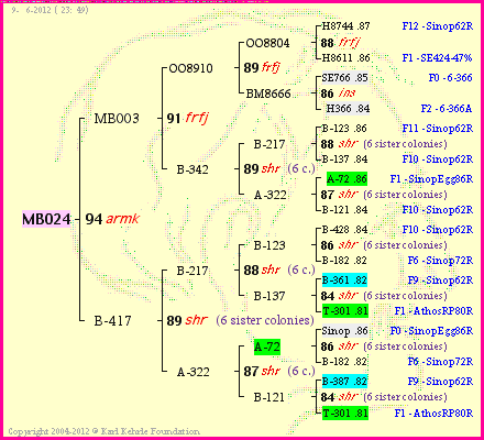 Pedigree of MB024 :
four generations presented