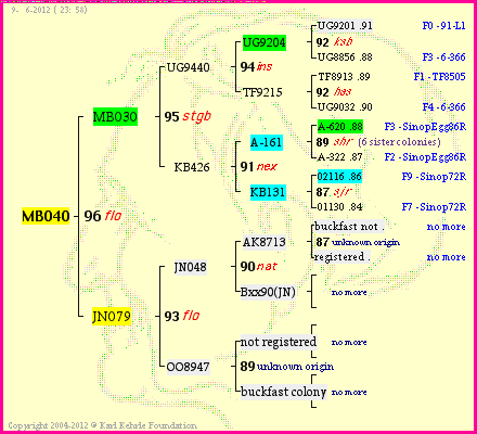 Pedigree of MB040 :
four generations presented