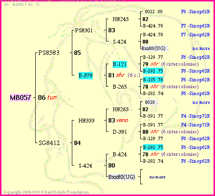 Pedigree of MB057 :
four generations presented