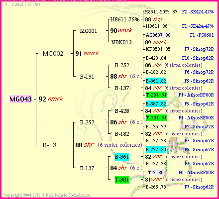 Pedigree of MG043 :
four generations presented