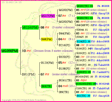 Pedigree of MG09(PM) :
four generations presented