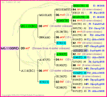 Pedigree of MG110(WE) :
four generations presented