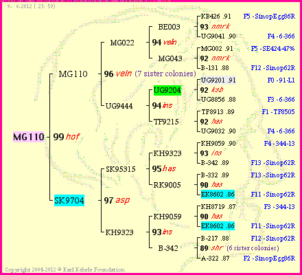 Pedigree of MG110 :
four generations presented