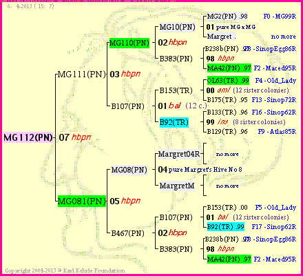 Pedigree of MG112(PN) :
four generations presented