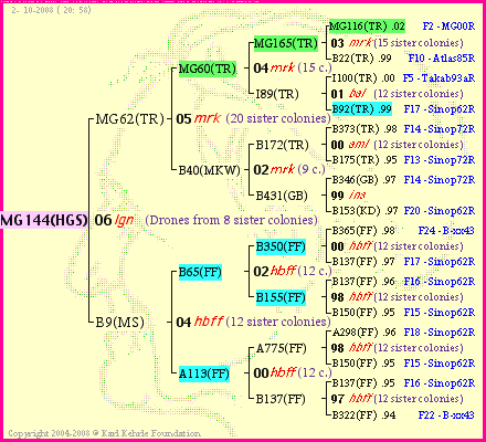 Pedigree of MG144(HGS) :
four generations presented