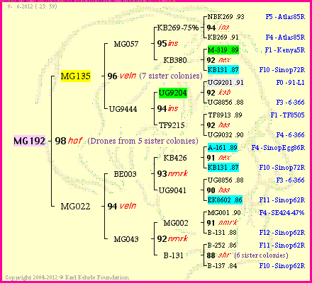 Pedigree of MG192 :
four generations presented