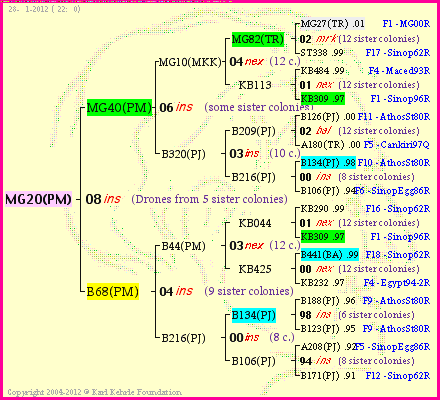 Pedigree of MG20(PM) :
four generations presented