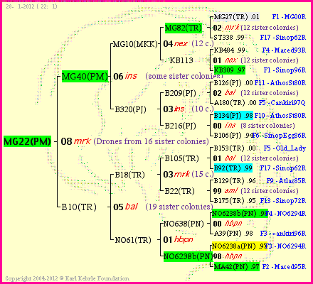 Pedigree of MG22(PM) :
four generations presented