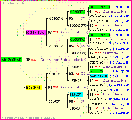 Pedigree of MG26(PM) :
four generations presented