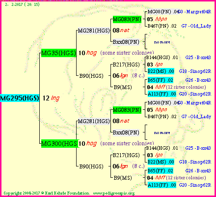 Pedigree of MG295(HGS) :
four generations presented