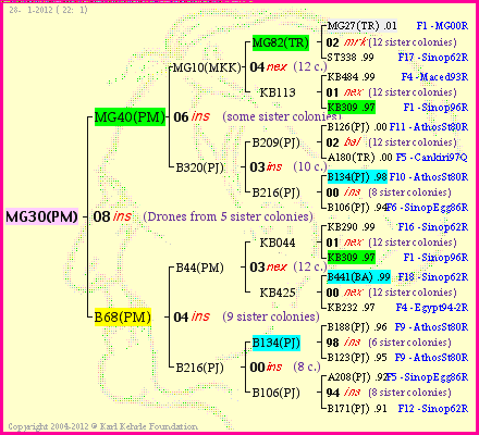 Pedigree of MG30(PM) :
four generations presented