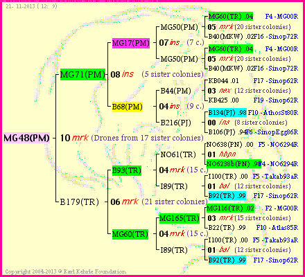 Pedigree of MG48(PM) :
four generations presented