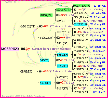 Pedigree of MG52(HGS) :
four generations presented