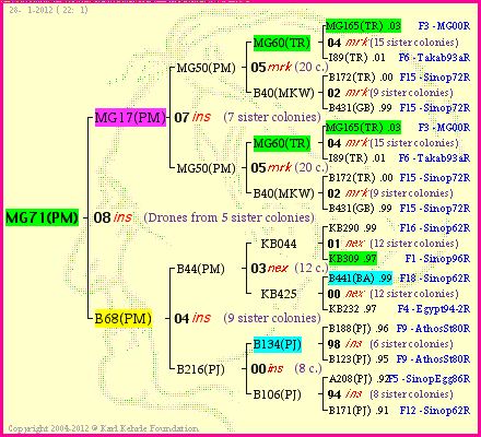 Pedigree of MG71(PM) :
four generations presented