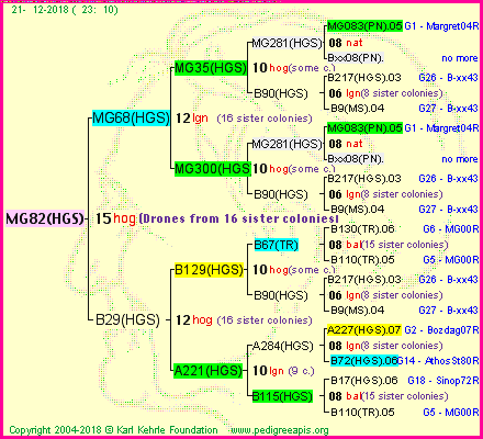 Pedigree of MG82(HGS) :
four generations presented<br />it's temporarily unavailable, sorry!