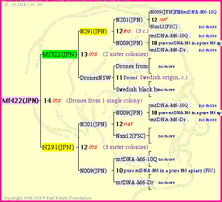 Pedigree of Mf422(JPN) :
four generations presented