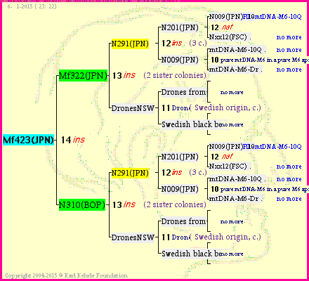 Pedigree of Mf423(JPN) :
four generations presented