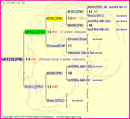 Pedigree of Mf430(JPN) :
four generations presented