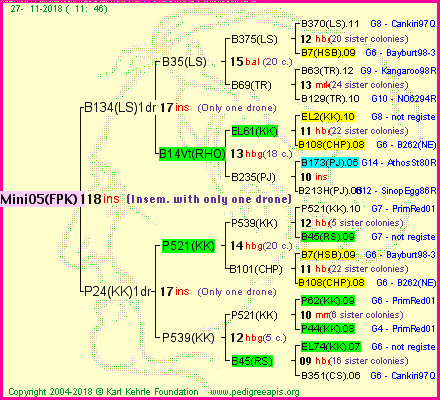 Pedigree of Mini05(FPK)1dr :
four generations presented<br />it's temporarily unavailable, sorry!