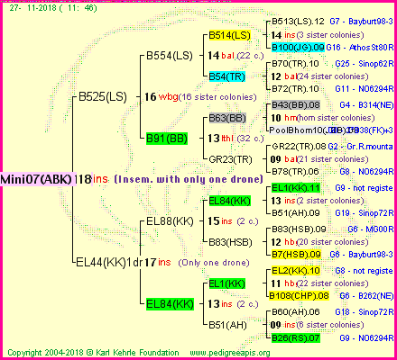 Pedigree of Mini07(ABK)1dr :
four generations presented<br />it's temporarily unavailable, sorry!