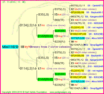 Pedigree of Mini11(LS) :
four generations presented<br />it's temporarily unavailable, sorry!