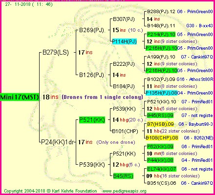 Pedigree of Mini17(MST) :
four generations presented<br />it's temporarily unavailable, sorry!