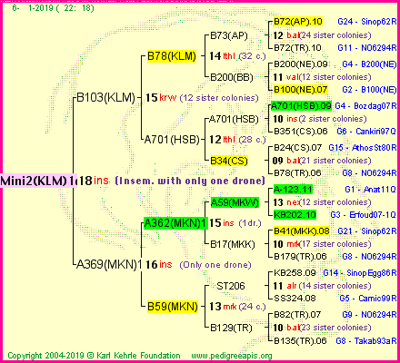 Pedigree of Mini2(KLM)1dr :
four generations presented<br />it's temporarily unavailable, sorry!