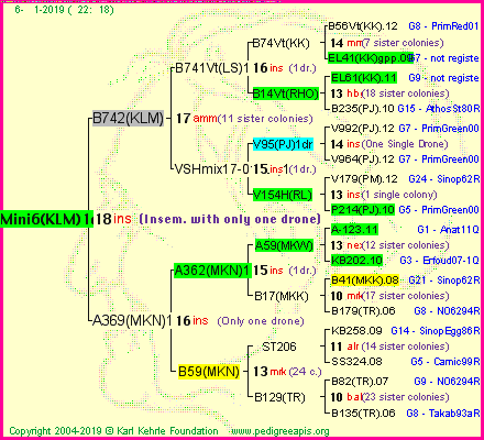 Pedigree of Mini6(KLM)1dr :
four generations presented<br />it's temporarily unavailable, sorry!