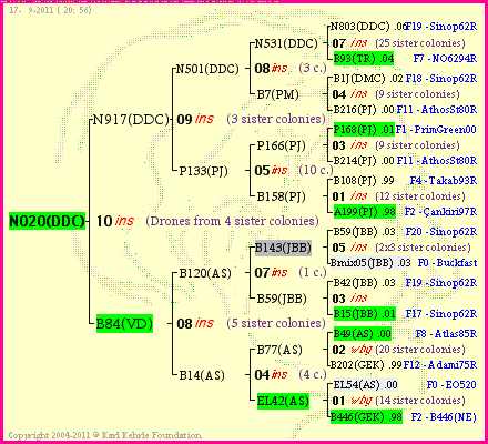 Pedigree of N020(DDC) :
four generations presented