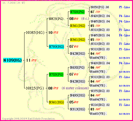 Pedigree of N109(HG) :
four generations presented