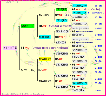 Pedigree of N144(PS) :
four generations presented