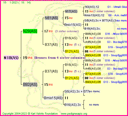 Pedigree of N18(AS) :
four generations presented
it's temporarily unavailable, sorry!