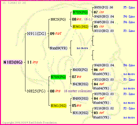 Pedigree of N183(HG) :
four generations presented