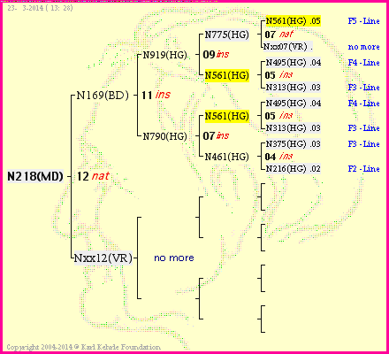 Pedigree of N218(MD) :
four generations presented