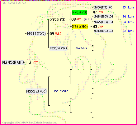 Pedigree of N245(RMF) :
four generations presented