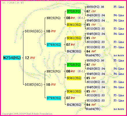 Pedigree of N254(HG) :
four generations presented