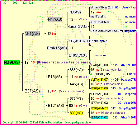 Pedigree of N29(AS) :
four generations presented
it's temporarily unavailable, sorry!