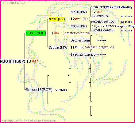 Pedigree of N301F1(BOP) :
four generations presented