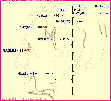 Pedigree of N32(ME) :
four generations presented