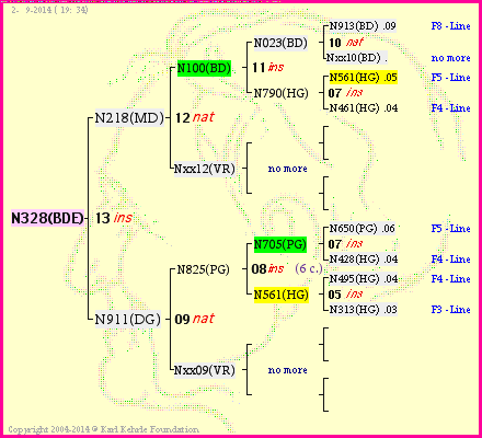 Pedigree of N328(BDE) :
four generations presented