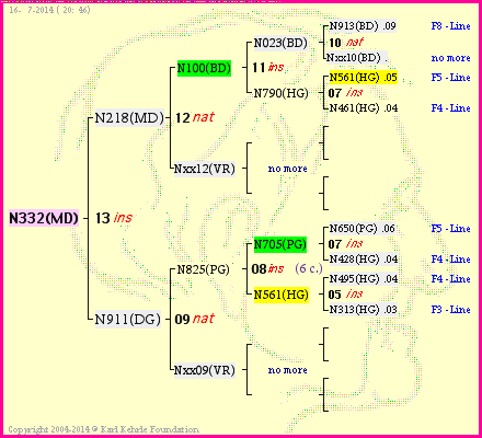 Pedigree of N332(MD) :
four generations presented