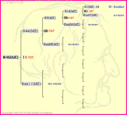 Pedigree of N46(ME) :
four generations presented