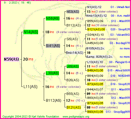 Pedigree of N59(AS) :
four generations presented
it's temporarily unavailable, sorry!